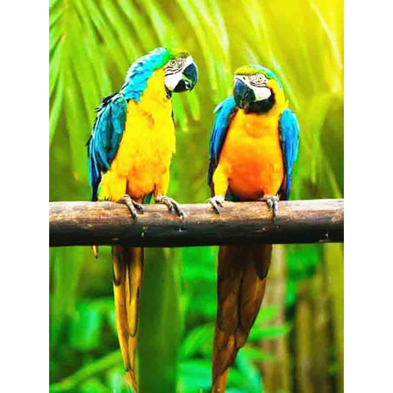Full Square Diamond Painting Parrot Animals Bird Mosaic Diamond Embroidery Scenery Cross Stitch Home Decoration New Year Gift