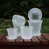 Breathable Flower Pot Transparent PP Planter for Orchids Caladiums Self-Watering Aerating Sun Resistant Flowerpot for Home Garden