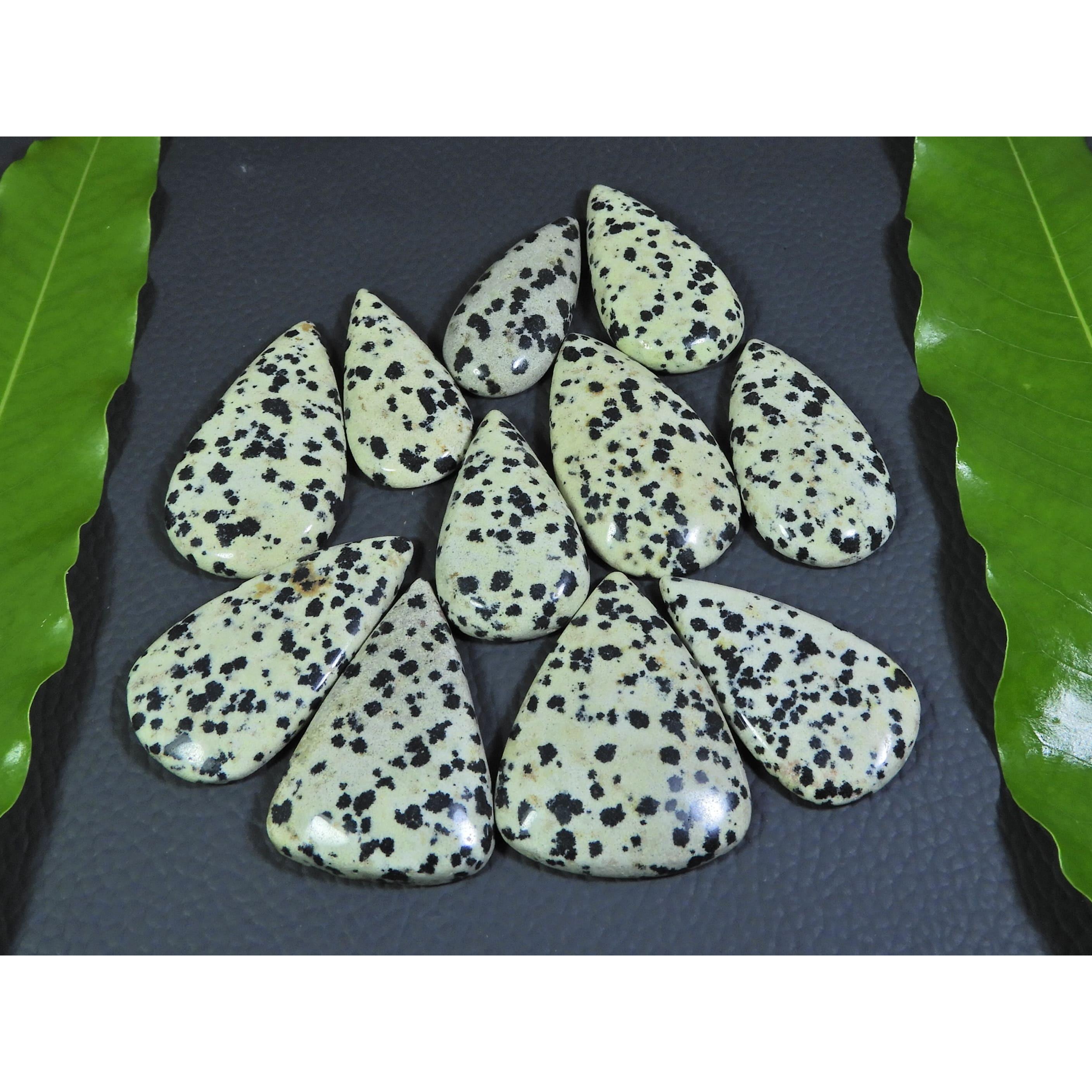 

351Cts. Natural Dalmation Jasper Pear Cabochon Loose Gemstone 11 Pcs Lot A-390