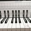 88-Key Piano Finger Position Practice Chart - 1:1 Standard, Portable Keyboard Guide