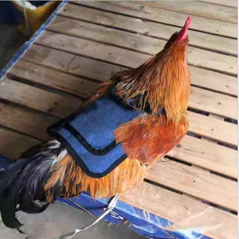 Outdoor Chicken Saddle Back Protector - Adjustable Poultry Apron