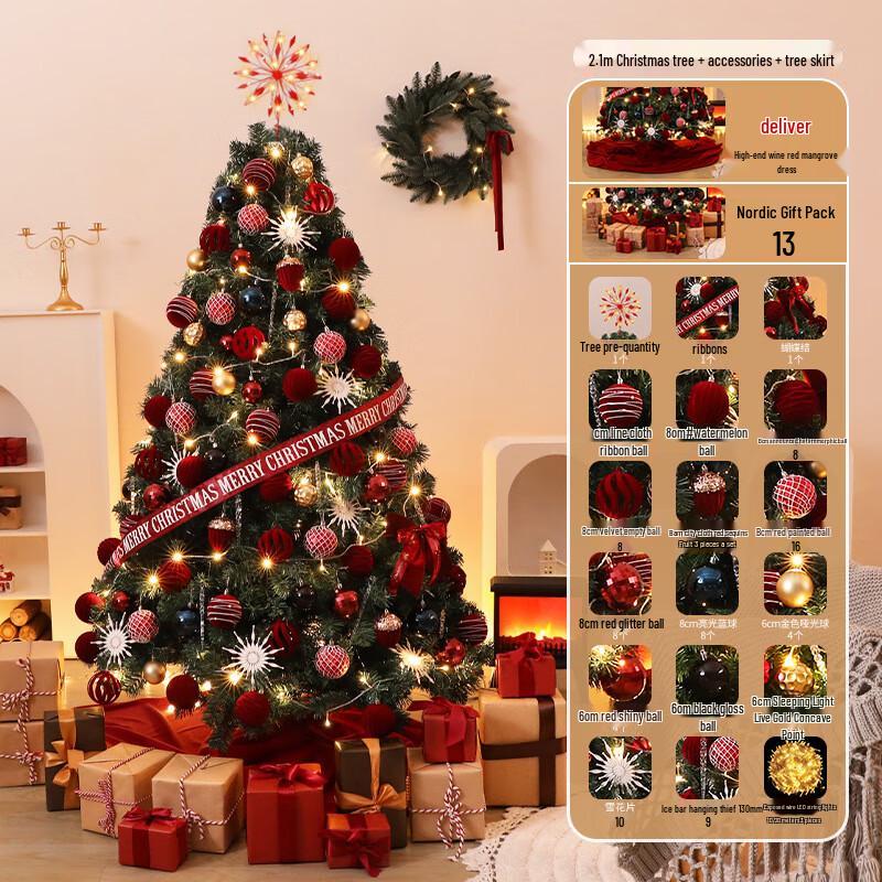 

Large DIY Indoor Christmas Tree with Gift Package