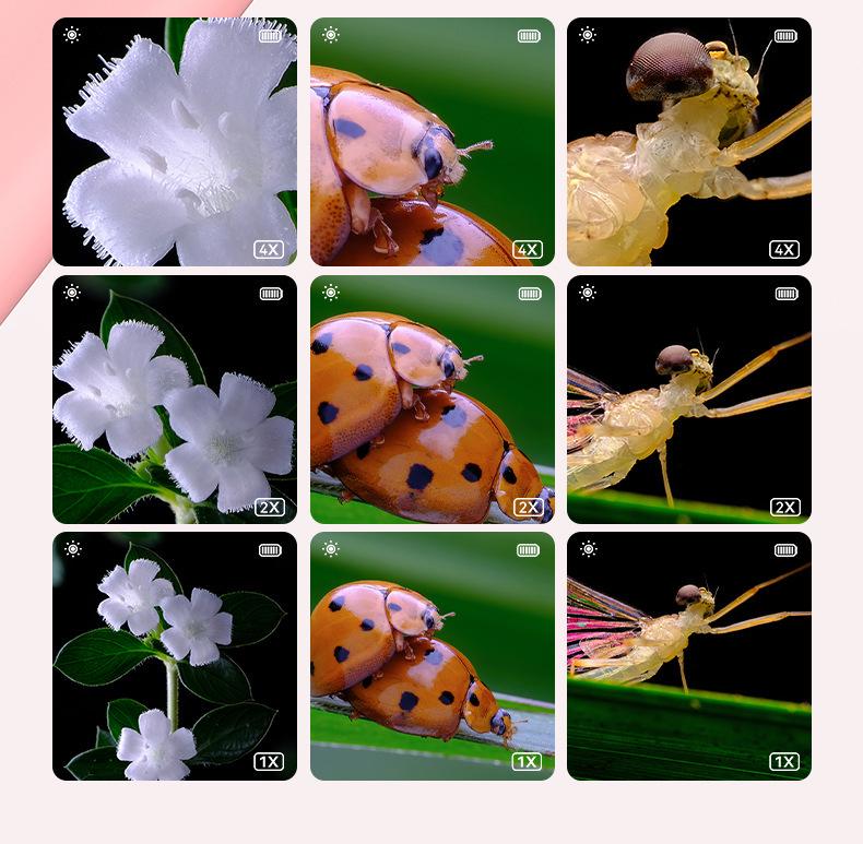 Children's Mini Handheld Electronic Microscope & Magnifier Educational Science Toy