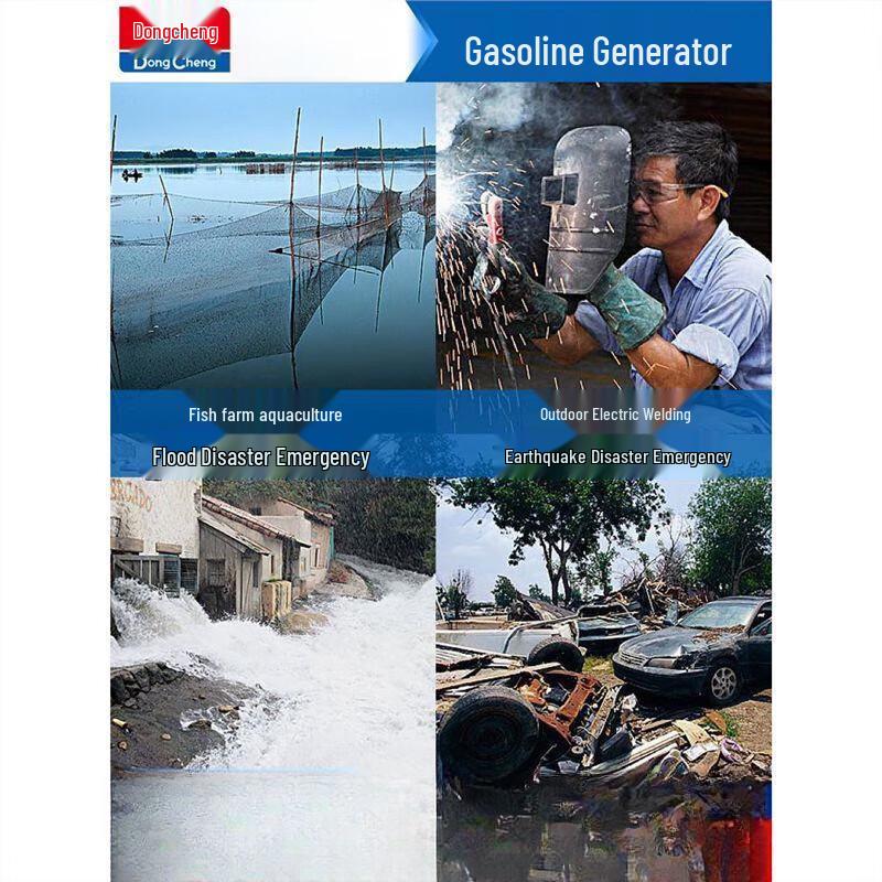 Dongcheng Portable Gasoline Generator CN plug (adapter included)