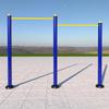ZLIII Outdoor High-Low Parallel Bars