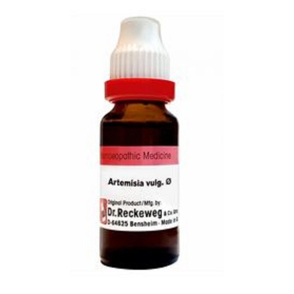@ Dr. Reckeweg Artemisia Vulgaris Q Homoepathic Medicine 20 Ml V379 UKR152_60%OFF