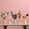 Morandi Style Small Vase: Coffee Table, Living Room, Dried Flower Arrangement, Homestay & Home Decoration