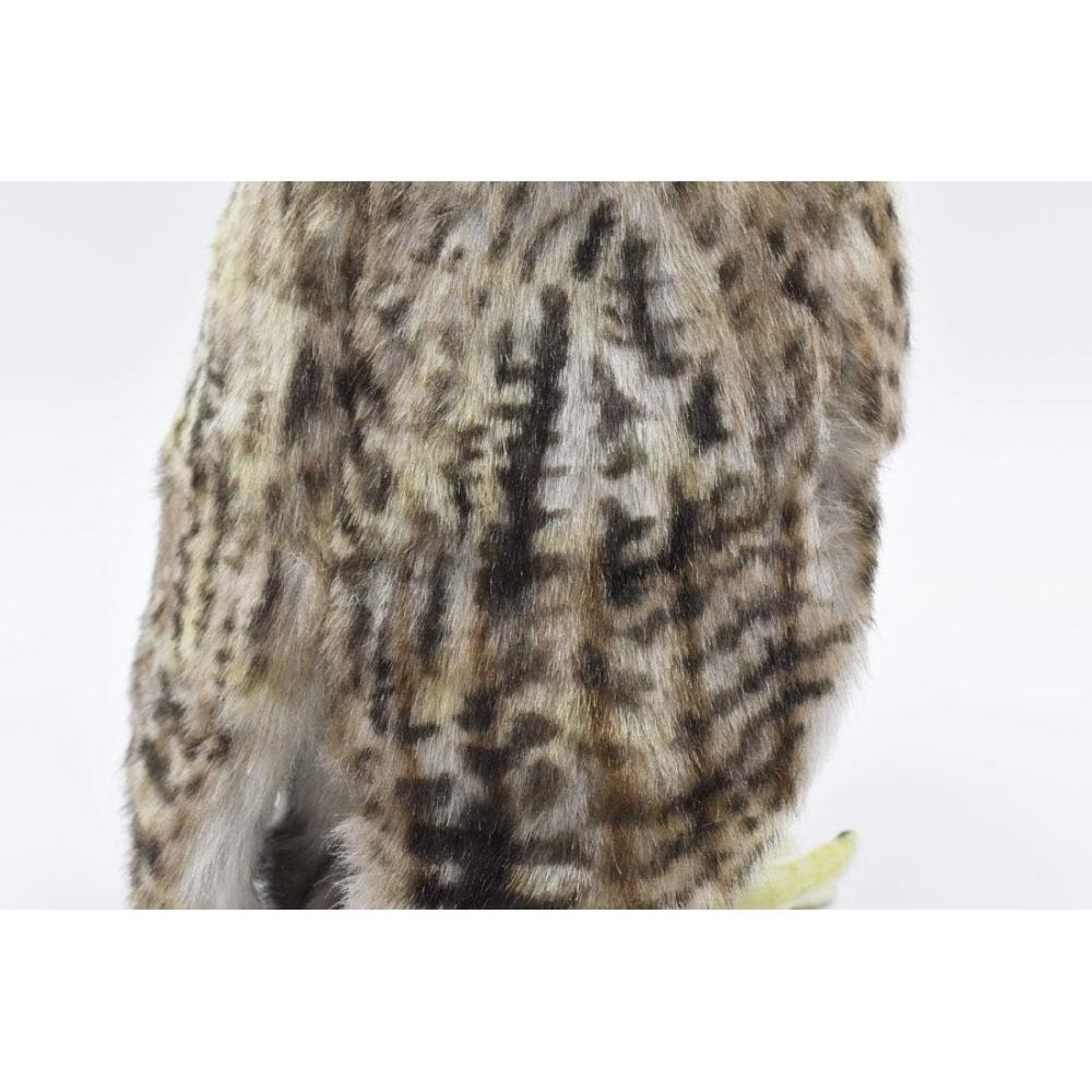 Bh6767 Hansa Shima Owl 26