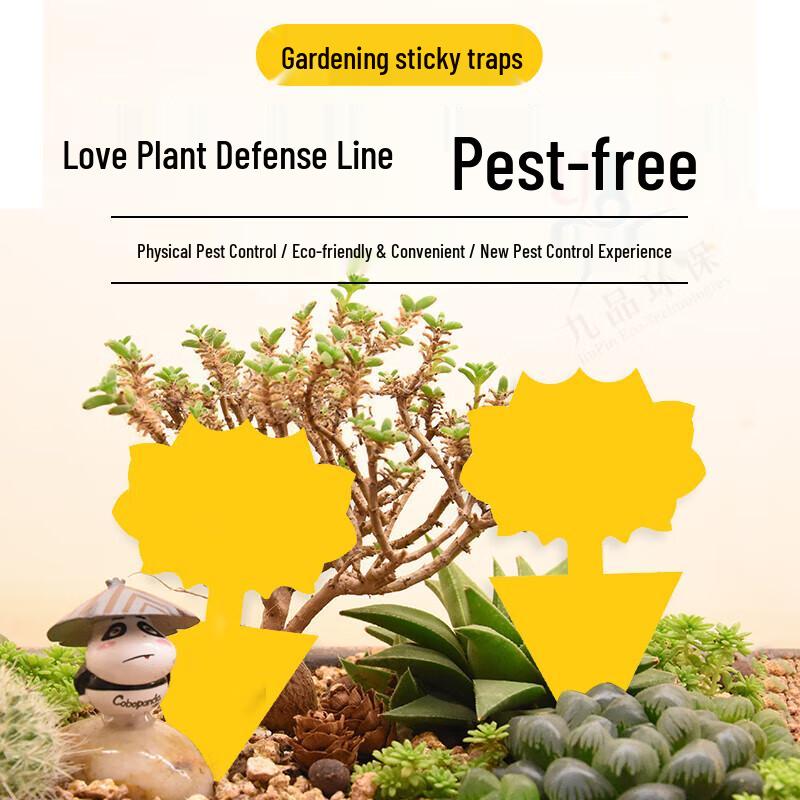 Double-Sided Sticky Insect Trap Boards