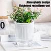 Self-Watering Pot for Indoor Transparent Hydroponics Draining Planter Flower Pots with Deep Reservoir for African Violets Orchid