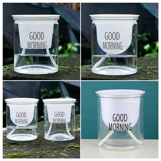 Self Watering Plant Pot Flower Pot with Deep Clear Reservoir Modern Planter with Wick Ropes for Houseplants Indoor Pothos