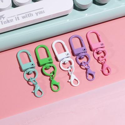 10 Stück farbige Schlüsselanhänger-Anhänger mit Karabinerverschluss aus Matel für die Herstellung von DIY-Schmuckstücken, Schlüsselanhänger, Hundeschnalle, Zubehör