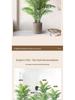 Artificial Fishtail Palm Green Plant - Indoor Living Room Decor, Large Luxury Bionic Floor Tree Ornament