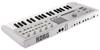 KORG Synthesizer microKORG 2 Limited Keys Metallic White MWH Color/Analog Modeling/Vocoder/Compact/Color Display/Battery Operated/37 MK-2