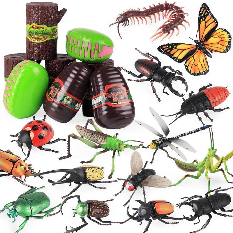 4D Insect Model Toy Set: Ladybug, Stag Beetle, Centipede, Ant, Fly, Mantis