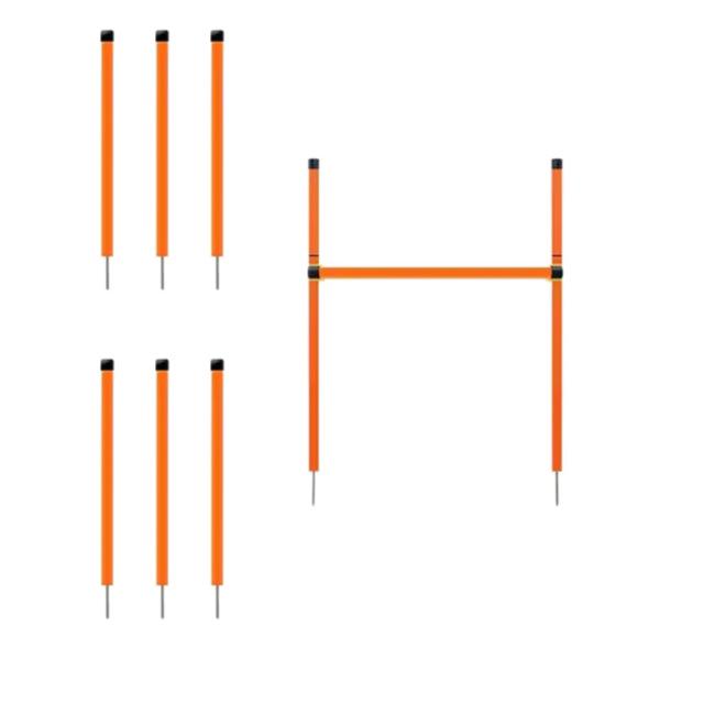Dog Agility Training Set: Jumping Rings, Poles & Weaving Equipment