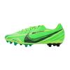 Nike Vapor 15 Academy Mercurial Dream Speed Ag Low Top 'Green Strike' (Unisex) Soccer Shoes FJ7184 300
