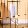 Plastic Water Feeder Bottle Hangings Dispenser Drinker Hamster Cat Dogs Drinking Stainless Steel Pipes Water Dispenser