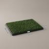 Dog Mat with Tray and Artificial Grass, 63 x 50.5 cm, Green