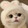 1pc Bunny Ears Hat for Cats Dogs, Knit Pet Costume Headwear, Pullover Fun Animal Clothing for Photos & Dress Up, Pet Accessories