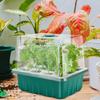 12 Holes Seed Starter Tray Plant Starter Kit and Base Mini Greenhouse Germination Kit for Seeds Growing Starting Seedling Tray