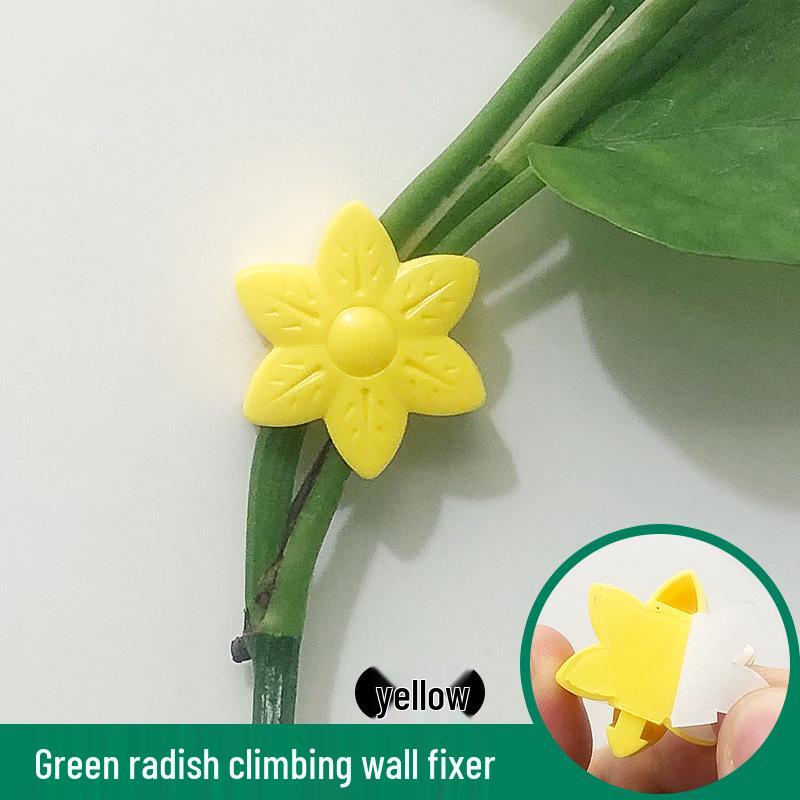 Self-Adhesive Invisible Clips for Wall-Mounting Green Vines and Ivy