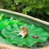 Realistic Fishing Cat Decoration Lotus Leaf Miniature Aquarium Landscaping Resin Cute Floating Cat Fishing Home Aquarium