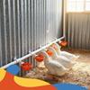 5Pcs Automatic Drinking Bowl Chicken Drinker Hanging Water Cup For Backyard Poultry