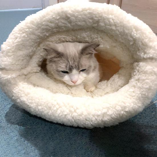 Pet Sleeping Bag Comfortable Cartoon Plush Pet House Bed Nest Pet Supplies