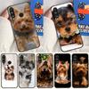 Yorkshire Terrier Dog For Huawei Nova 12s 12i 11i 8i 9 10 SE Y91 Y90 Y60 Y70 Y72 Y61 P20 P40 P30 Lite P60 Pro Case