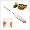 Multifunctional Electric Scale Scraper Replaceable Portable Fruit Coring Tool Anti-rust Rotating Cutter with 2 Different Blades