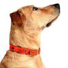 Collier pour Chiens - PetTec - Classique - Imperméable - Flexible - Rembourré 30-40cm - Orange