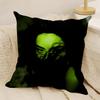 Singer CCharli XCX BRAT Pillow Case Natural Linen DoubleSided Printing Sofa Home Decor Cushion Cover