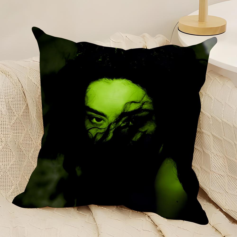 Singer CCharli XCX BRAT Pillow Case Natural Linen DoubleSided Printing Sofa Home Decor Cushion Cover