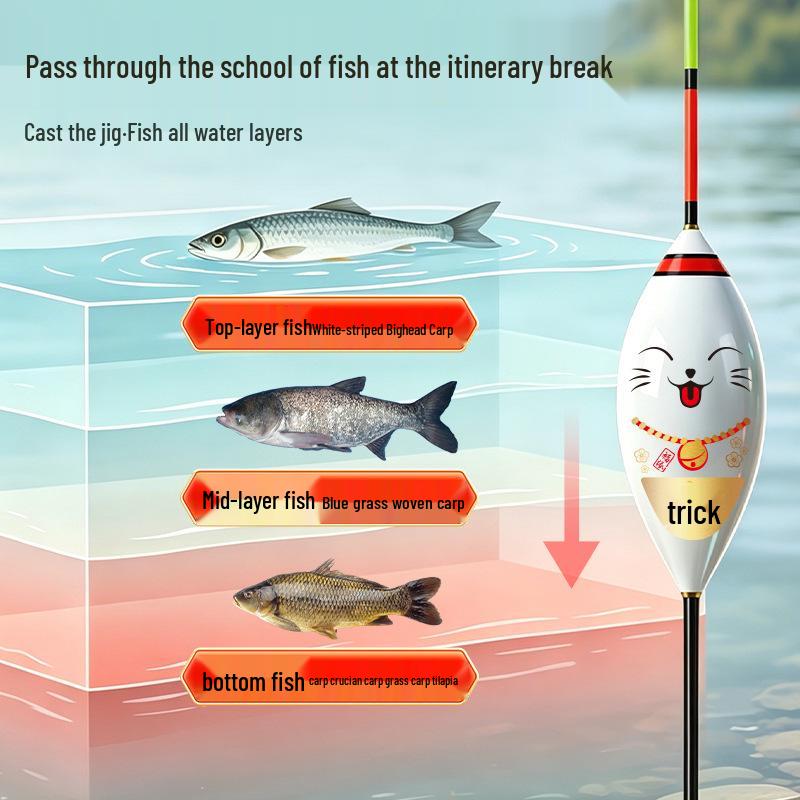 High Sensitivity Black Pit Egg Float for Carp and Crucian Fishing