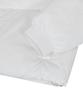 Ironyporno Whiteline 86-Iro339 Essential Glossy High-Neck Short Padded Jacket White
