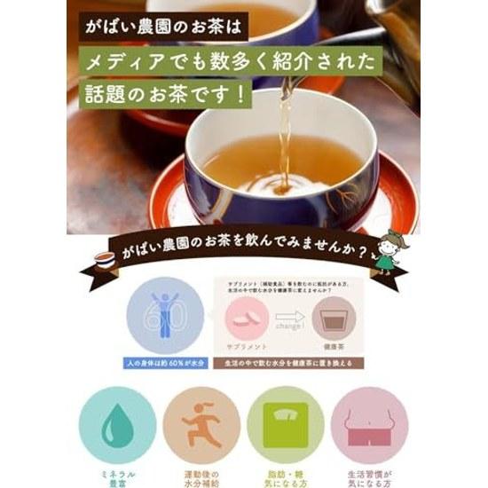 Gabai Farm Organic Cultivated Oolong Tea 3g40 bags (Oolong Tea) Domestic (Oita) JAS Chinese Health Bag Additive-Free