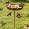 Strong Antique Look Outdoor Bird Bath Providing A Safe Drinking Area For Flying Visitors