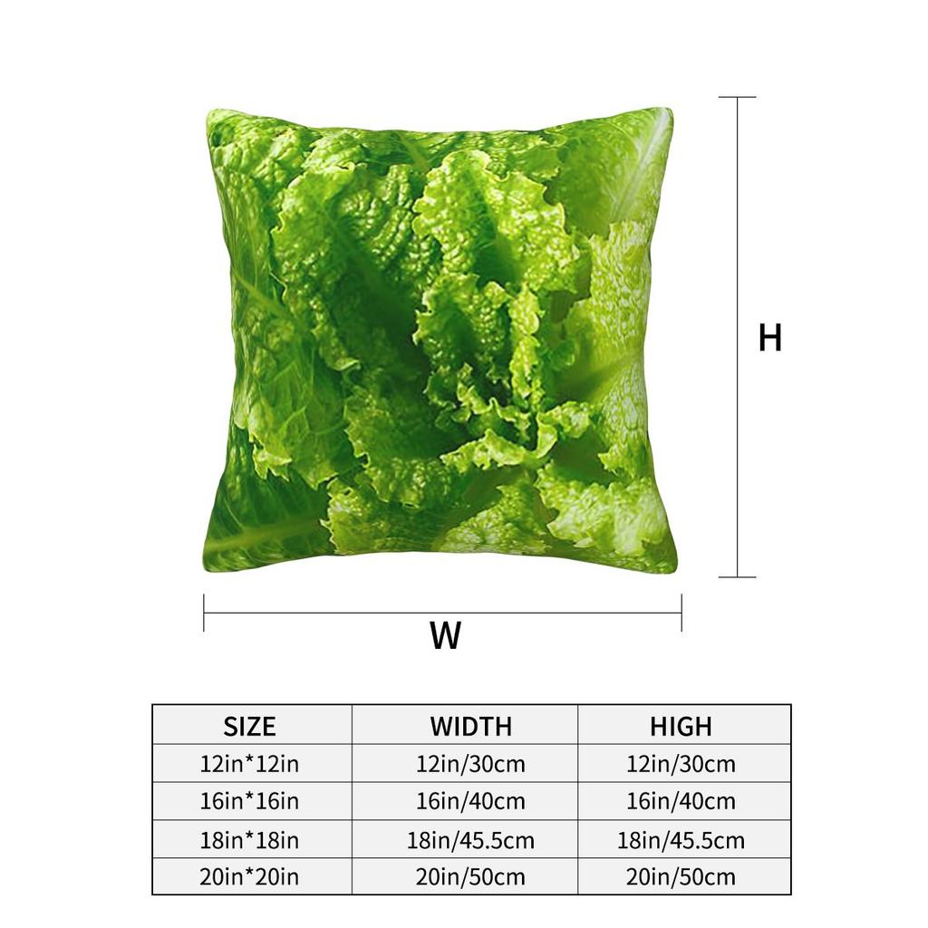 Lettuce Closeup Square Pillowcase Cushion Cover Pillow Case Throw Pillow Cover for Home Bedroom Car