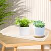 6Pcs Plant Pot Trays Durable PP Material Lightweight Flower Pot Holder Pallets Prevent Water Leakage Floor Protector