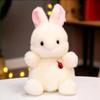 Animal Plush Toy Pig Rabbit Husky Children's Birthday Gift Grab Machine Doll Doll Souvenir