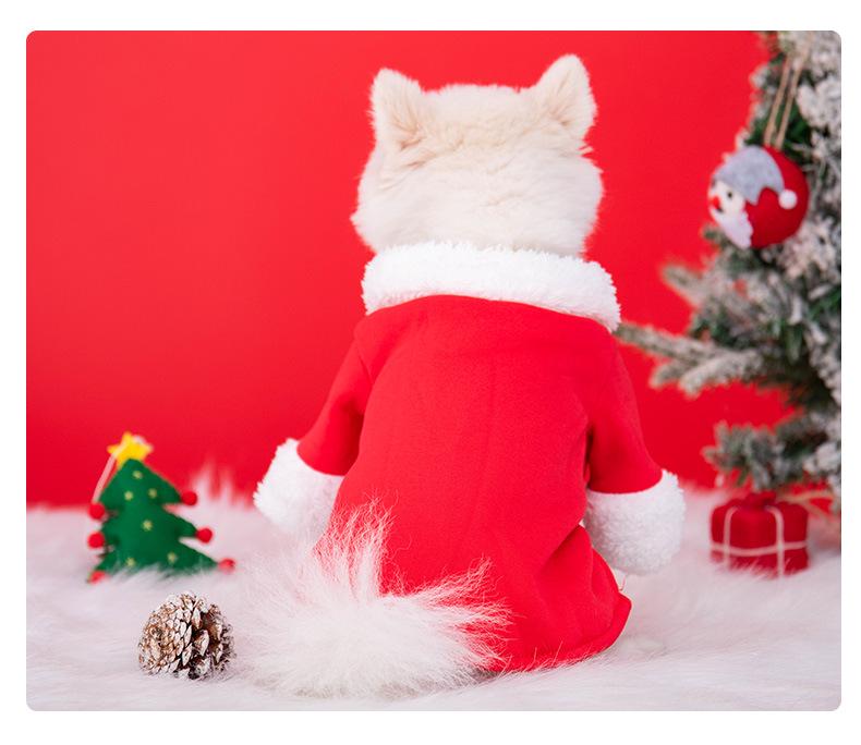 Ținută de Crăciun de Toamnă Iarnă cu Stat în Picioare pentru Câini Mici și Pisici - Potrivită pentru Teddy, Bichon