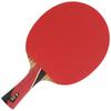 DOUBLE FISH 8-Star Professional Carbon Table Tennis Racket