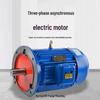 YE3 Series Low-Voltage Asynchronous Electric Motor