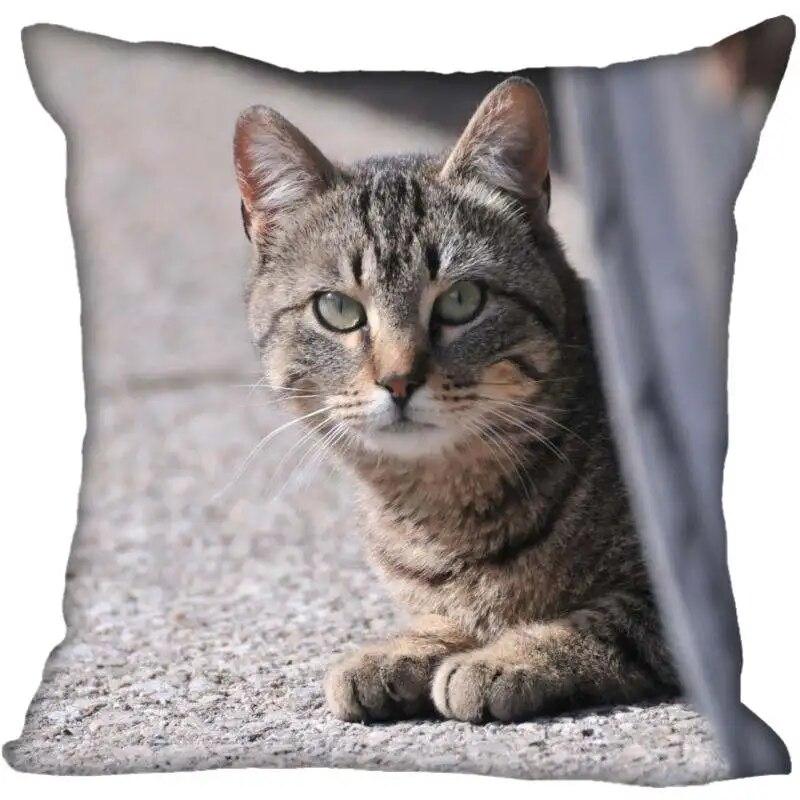 

Наволочка в современном доме для гостиной с кошкой и животным 45x45cm