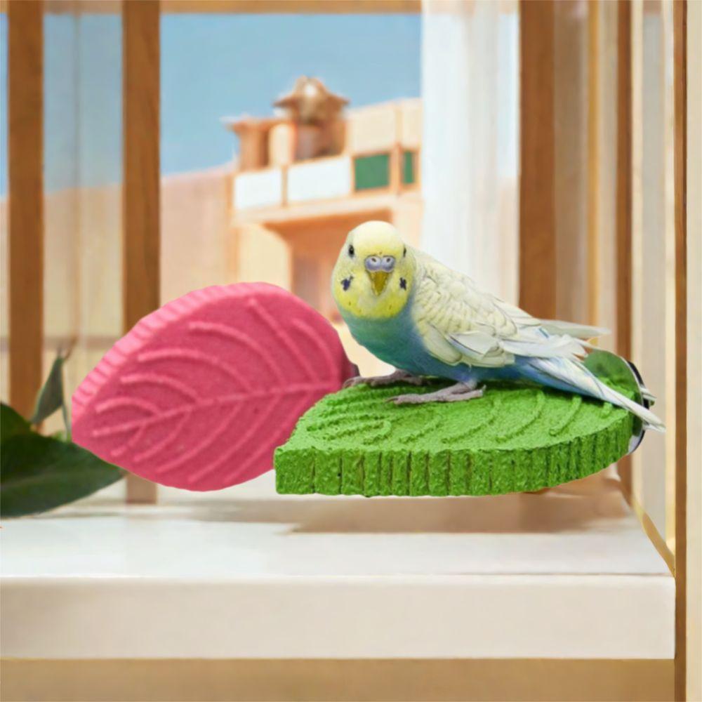 Non-slip Bird Cage Platform Resin Parrot Standing Pole Easy Installation Bird Rest Station Aviary