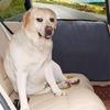 Vehicle Door Protective Cover Scratch and Drool Resistant for Car Interiors Door Panel Protector Scratch and Dirt