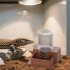 Automatic Reptile Water Dispenser, Drinking Aid, Sturdy Container, Pet Accessories,