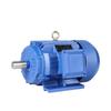 Sai Fan Lu YE3 Series Variable Frequency Motor