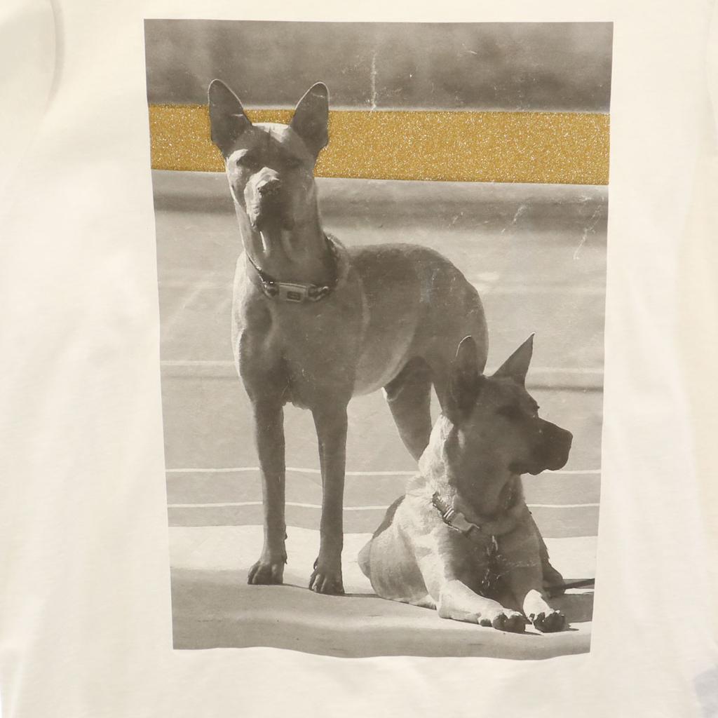 Palm Angels Short Sleeve T-shirt M White Doberman Men's Used